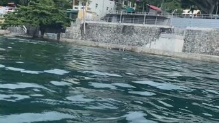 “不怕念起，只怕觉迟 。”在纷繁尘世，杂念纷至沓来，如同纷飞落叶，此乃常态。若任由杂念驱使，被贪嗔痴牵引，便易迷失方向，陷入烦恼困境。但当杂念初起，能迅速察觉，以正念替换妄念，就能把握心灵航向。时时