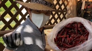أضحك! أغنية CL الجديدة، النسخة الرسمية من رقصات مصمم الرقصات الأصلي فاتا، لفرقة SPICY. إنها رائعة حق