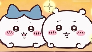 【chiikawa】นี่คือดนตรีจริงๆ! ——Slumber Party รุ่นเพียว