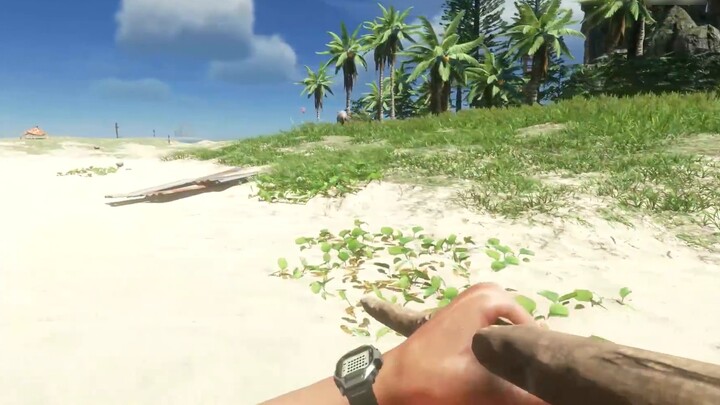 Desert Island Survival 05: Tôi chạm trán với một con tàu khổng lồ nặng hàng chục nghìn tấn, và tôi đ