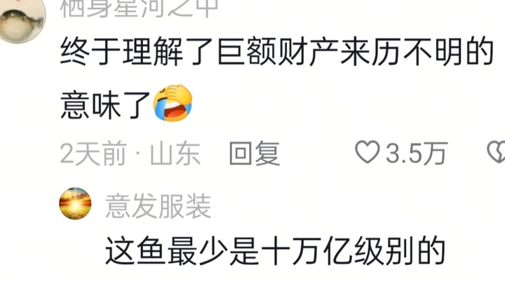 Accidentally filmed it—so hilarious!