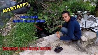 TARIKAN GILA IKAN GEDE PENGHUNI GORONG GORONG BIKIN MELONGO!!