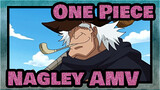 A Real Captain Has The Respect Of His Crews! | One Piece Nagley AMV