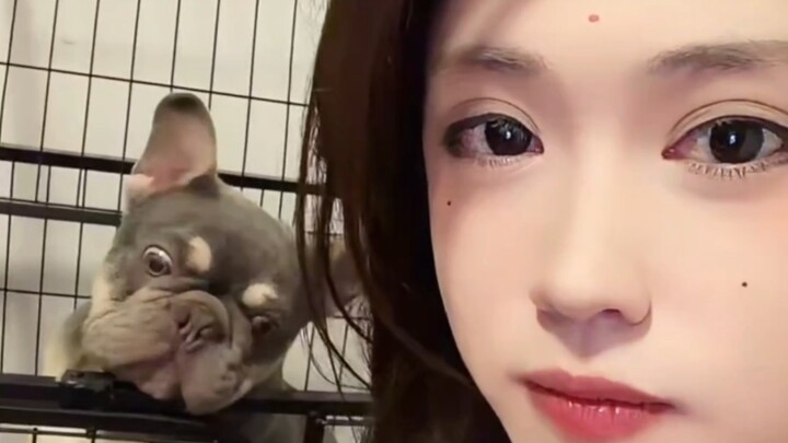 Happy Yuanyuan was asked, “Why is there a man here?” The situation Yuan Ge created left her speechle