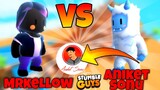 MrKellow vs Aniket Sonu in Stumble Guys