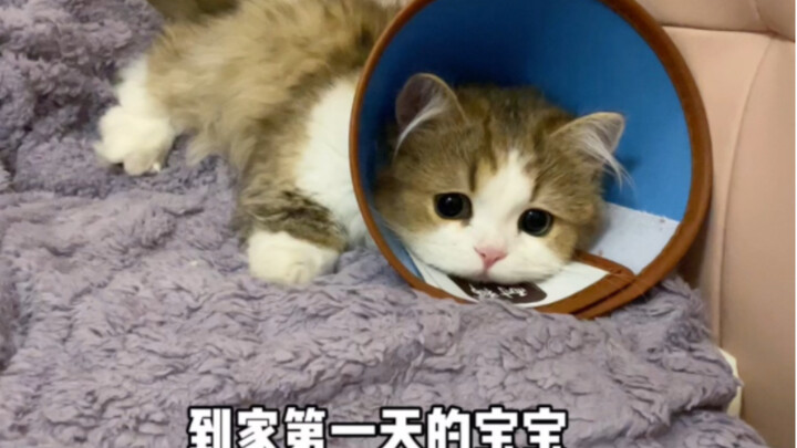 The way he pouts and lies face-down by the bed is just too cute!