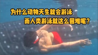 为什么动物天生就会游泳，而人类游泳就这么困难呢？ #科普 #神奇动物 #进化论 #游泳