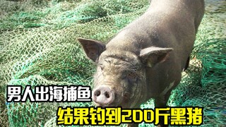 男人出海捕鱼，不料抓到200斤黑猪，从此发家致富，悬疑电影