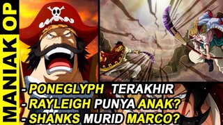 BANYAK YANG TIDAK SADAR.. INILAH 7 HAL PENTING DARI CHAPTER 966 | RAYLEIGH PUNYA ANAK?