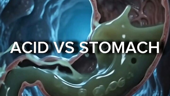 Why Your Stomach Doesn’t Digest Itself? 🧪 #Shorts