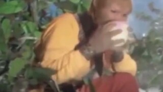 孙悟空，专业平账五百年，我猴哥是个大好人啊，讲义气愣是没供出一个人