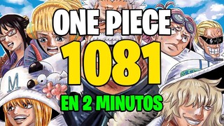 ONE PIECE 1081 en 2 MINUTOS !!  | Full Haki Marco