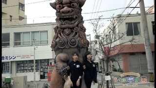 Sakura Ayane (Sakura nanachi 'DVD Onishi in Okinawa