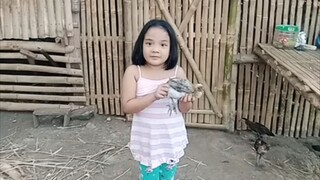 Bahay Kubo tour (province life)