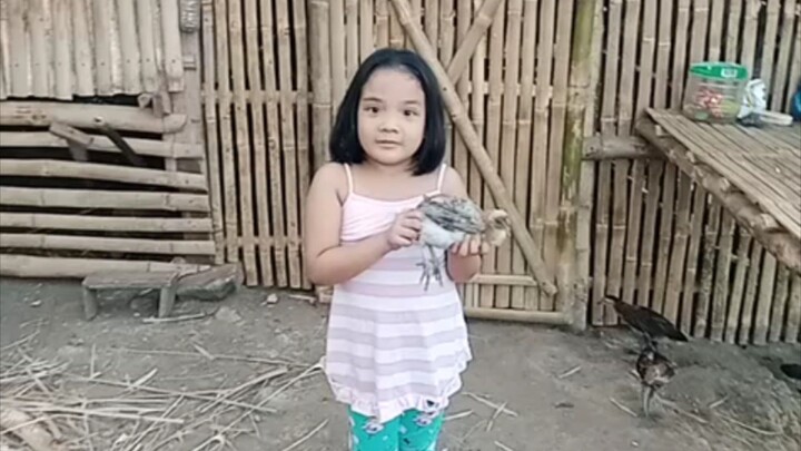 Bahay Kubo tour (province life)