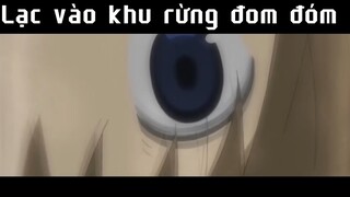Lạc vào khu rừng đom đóm