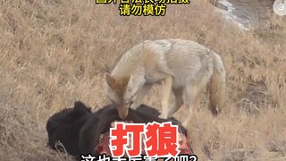 Eliminate the efficiency wolves