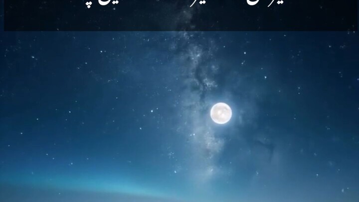 watsapp status