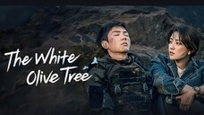 🌸The.white.olive.tree EP29🌸