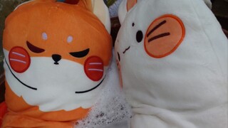 Washing TGCF Hualian Hotdog Pillows (Minidoll)