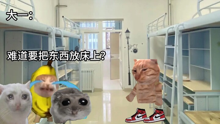 Khi đối mặt với cuộc kiểm tra ký túc xá, sinh viên năm nhất và năm ba