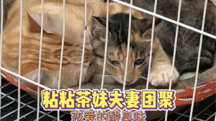 I admit I’m totally jealous.