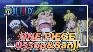 ONE PIECE|Ussop si bocah pintar yang bisa membuat Sanji melindunginya dalam 1 kalimat