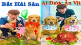 Thú Cưng TV | Gia Đình Gâu Đần #27 | Chó Golden thông minh vui nhộn | Pets funny cute dog