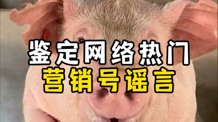การพิสูจน์ข่าวลือจากบัญชีการตลาดยอดนิยมบนโลกออนไลน์｜หมูกินคน｜ผิวหนังรับรู้สี｜จดหมายแนะนำตัว