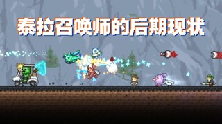 【Terraria】Summoner's happiness is beyond your imagination