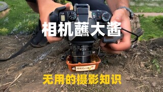 What kind of flavorful photos can you take by dipping your camera in soybean paste?