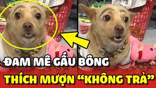 Chú chó mê Gấu Bông THÍCH MƯỢN nhưng KHÔNG THÍCH TRẢ 😂 | Yêu Lu