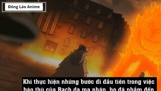 Top 10 Sự Thật Về Asta Black Clover 3