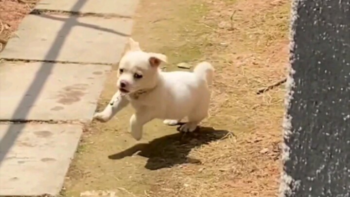 นี่แหละใช่ไหมที่เรียกว่าไร้กังวลตามตำนาน