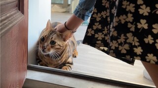 Biar kalian lihat betapa sulitnya bagi saya untuk keluar rumah...