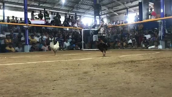 2nd fight. Sinibalang Win