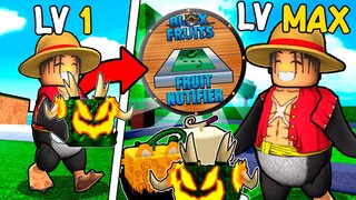 Noob to Pro with Devil Fruit Notifier | Blox Fruits
