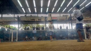 MCJ-AA GF Biboy Line