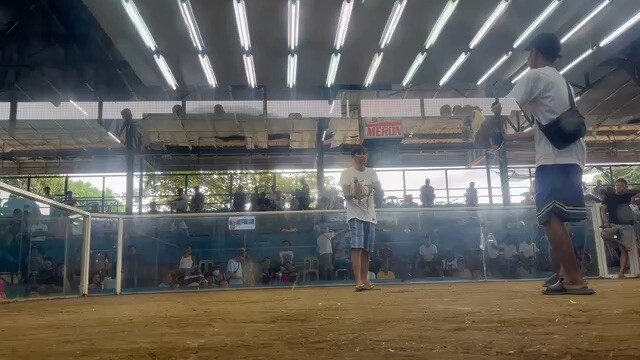 MCJ-AA GF Biboy Line