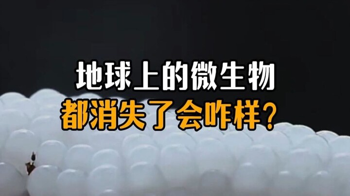 จะเกิดอะไรขึ้นถ้าจุลินทรีย์บนโลกหายไป?