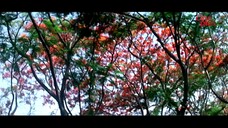 Abhimanyu by Mithun Chakraborty (2006)