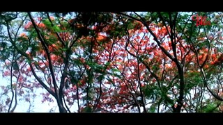 Abhimanyu by Mithun Chakraborty (2006)