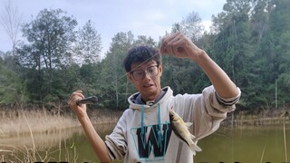 Saya mengiyakan untuk kembali ke pedesaan untuk memupuk keabadian.