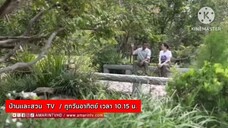 บ้านและสวน TV พาไปชม บ้าน สวน มุมใหม่ที่น่าสนใจที่ไม่ควรพลาด! ทุกวันอาทิตย์ เวลา 10.15 น.