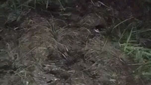 adobong baki subrang sarap