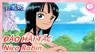 [ĐẢO HẢI TẶC] Đứa con quỷ Nico Robin_1