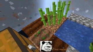 Minecraft-Sulit Bertahan Hidup? Tanah Menghilang Dengan Waktu 02