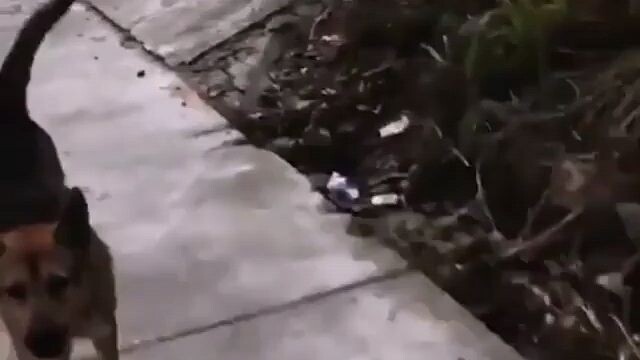 Bộ môn hấp dẫn ,nhưng vô cùng kích thích 🤣