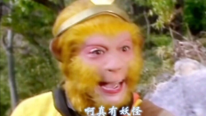 พี่ลิงน่ารักตัวโตของฉันเลยนะ!