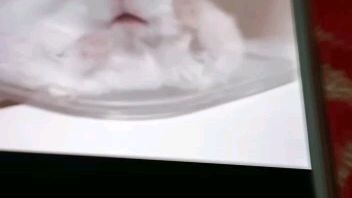 Hamster gemoy guys